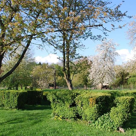 Gites Aux Fleurs De Cerises Le Plessis-Luzarches Dış mekan fotoğraf